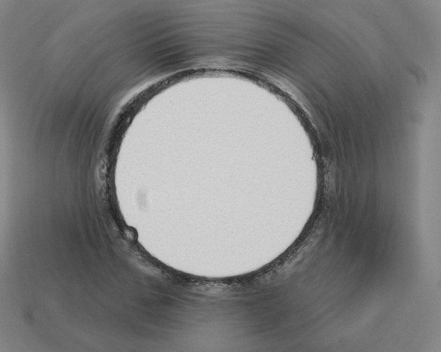 X0000112760971200910011212
