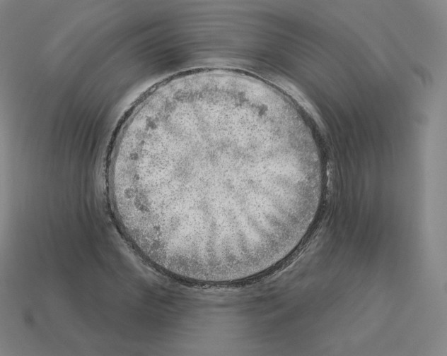 X0000112760972200910011212