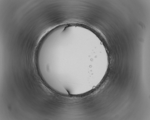 X0000112760973200910011212