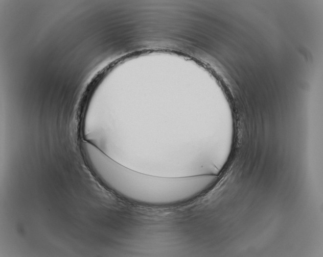 X0000112760975200910011212