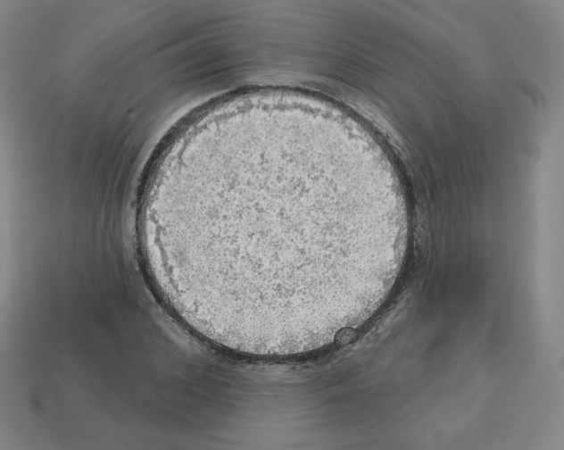 X0000112760976200910011212