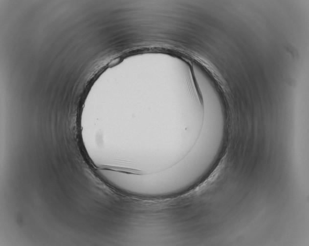 X0000112760977200910011212