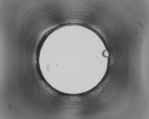 X0000112760979200910011212