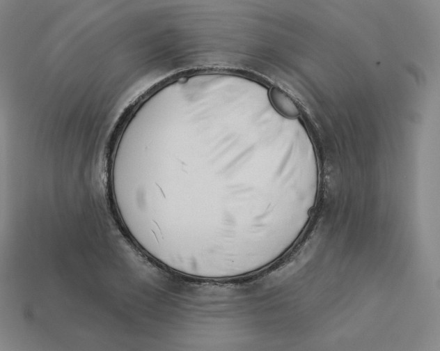 X0000112760981200910011212