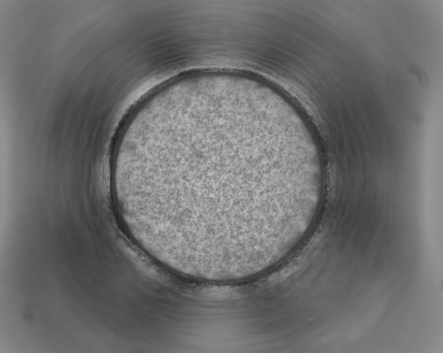 X0000112760982200910011212