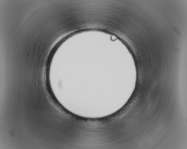 X0000112760983200910011212