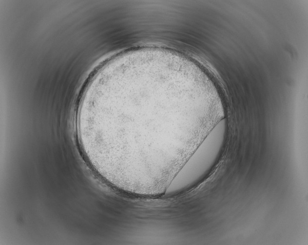 X0000112760984200910011212