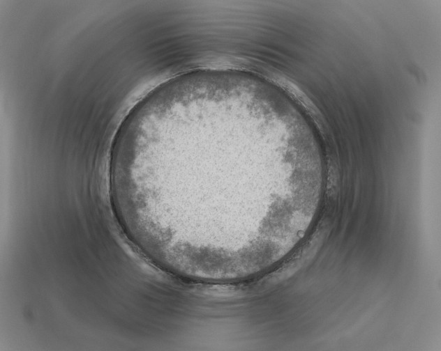 X0000112760986200910011212