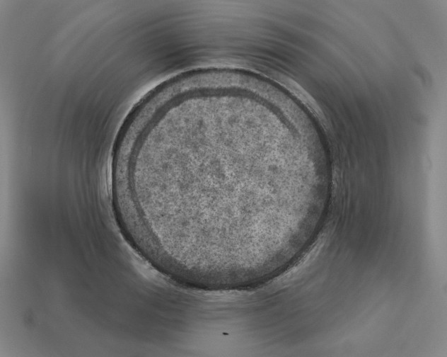 X0000112760988200910011212