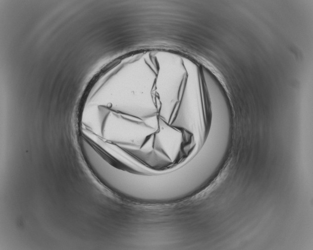 X0000112760989200910011212
