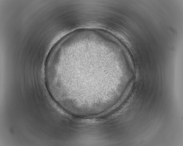 X0000112760990200910011212