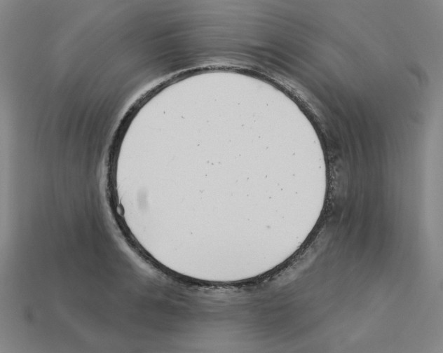 X0000112760991200910011212
