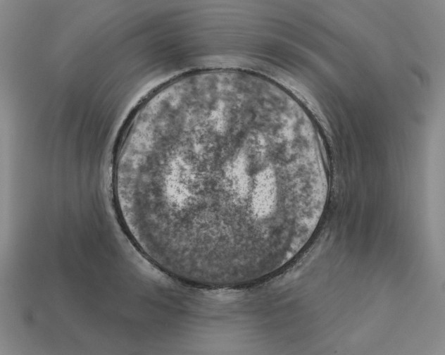 X0000112760992200910011212