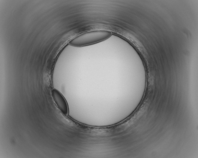 X0000112760993200910011212