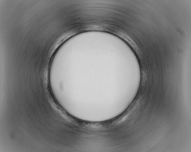 X0000112760994200910011212