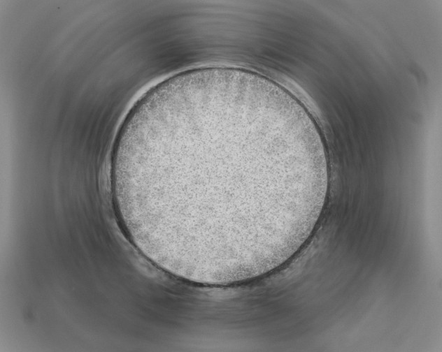 X0000112760996200910011212