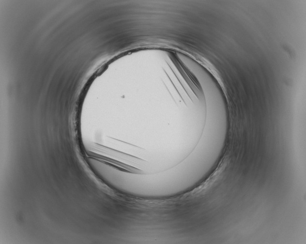X0000112760997200910011212