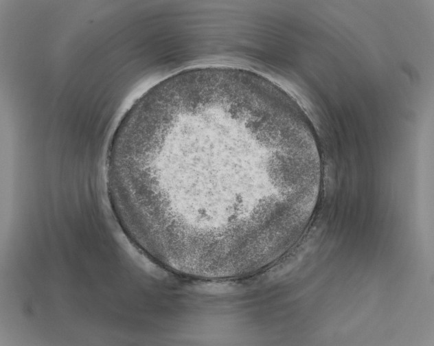 X0000112760998200910011212