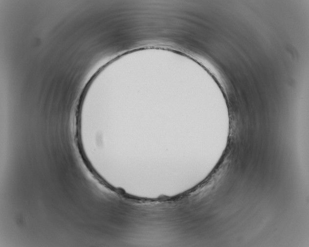 X0000112760999200910011212