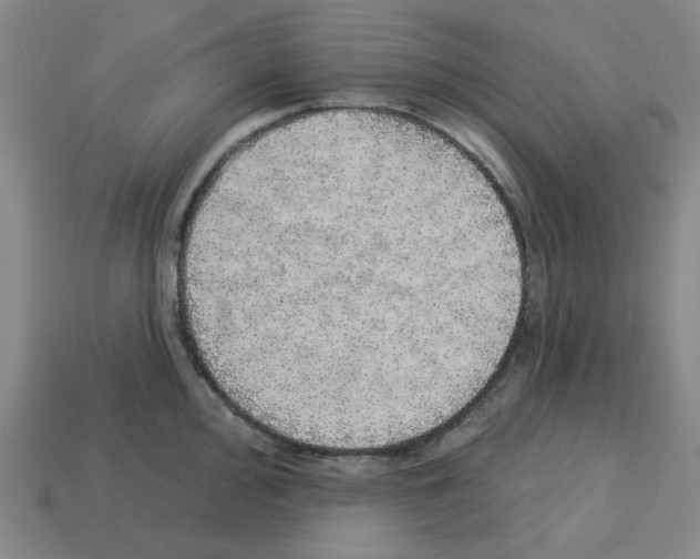 X0000112761000200910011212