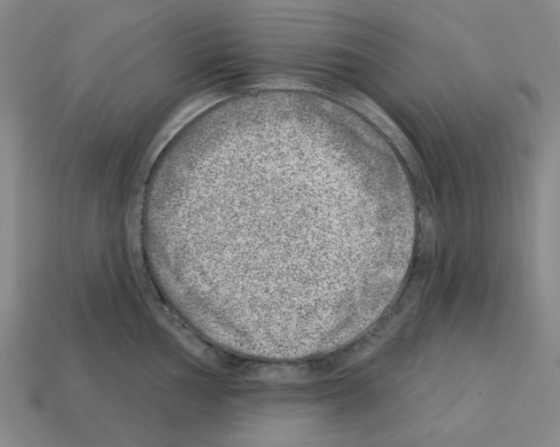 X0000112761002200910011212