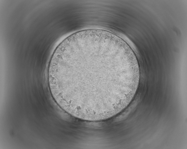 X0000112761004200910011212