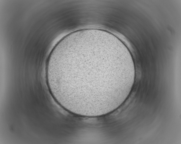 X0000112761006200910011212