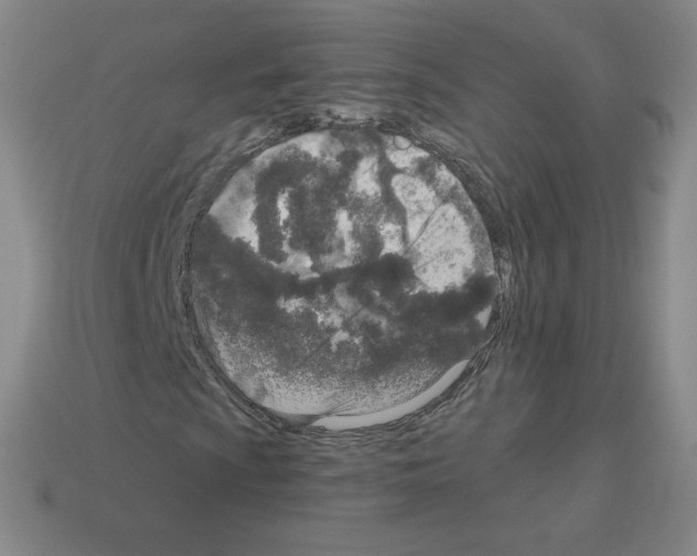 X0000112761009200910011211