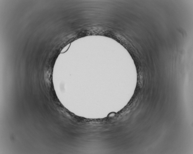 X0000112761010200910011211