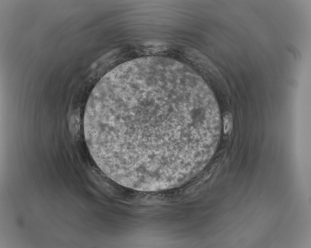 X0000112761011200910011211