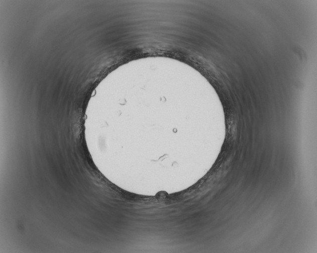 X0000112761012200910011211