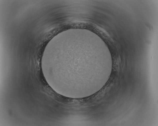 X0000112761013200910011211