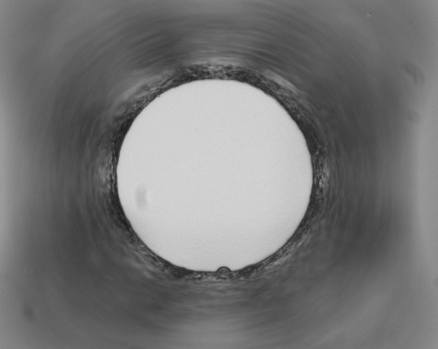 X0000112761014200910011211