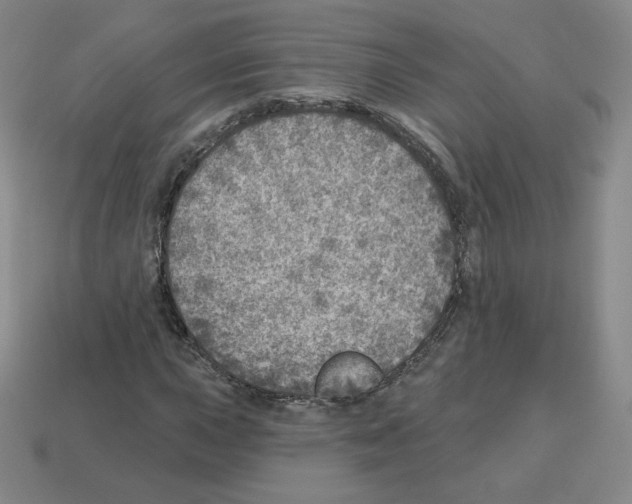 X0000112761015200910011211