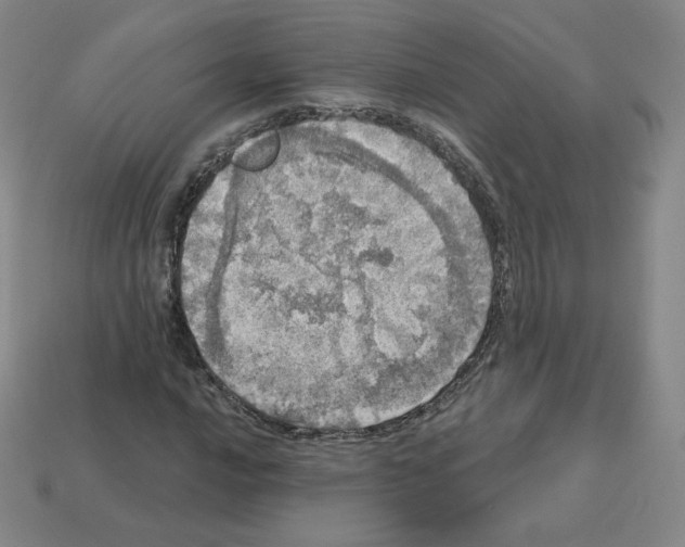X0000112761016200910011211