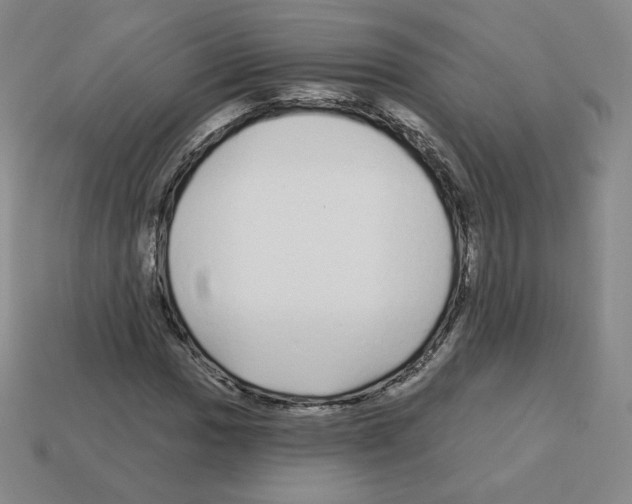 X0000112761017200910011211