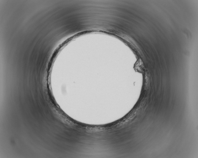 X0000112761020200910011211