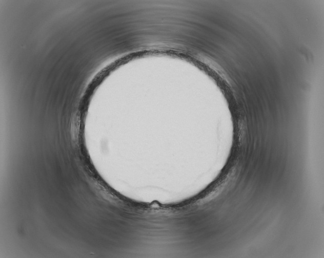 X0000112761021200910011211
