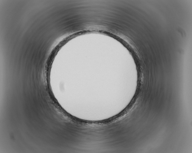 X0000112761022200910011211