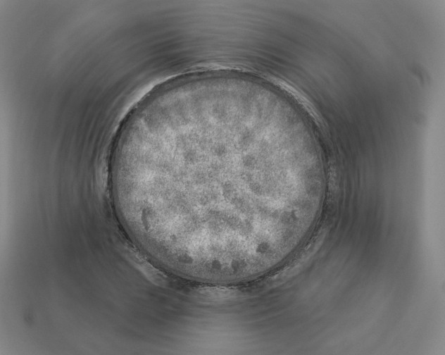 X0000112761023200910011211