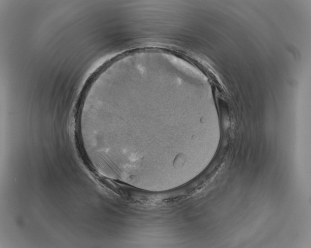 X0000112761024200910011211