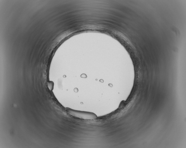 X0000112761025200910011211