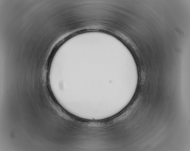 X0000112761029200910011211