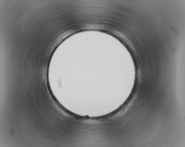 X0000112761033200910011211
