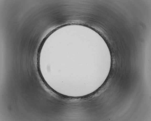 X0000112761038200910011211