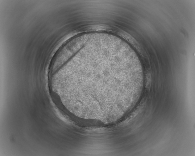 X0000112761039200910011211
