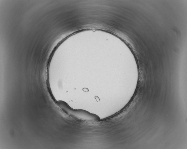 X0000112761040200910011211