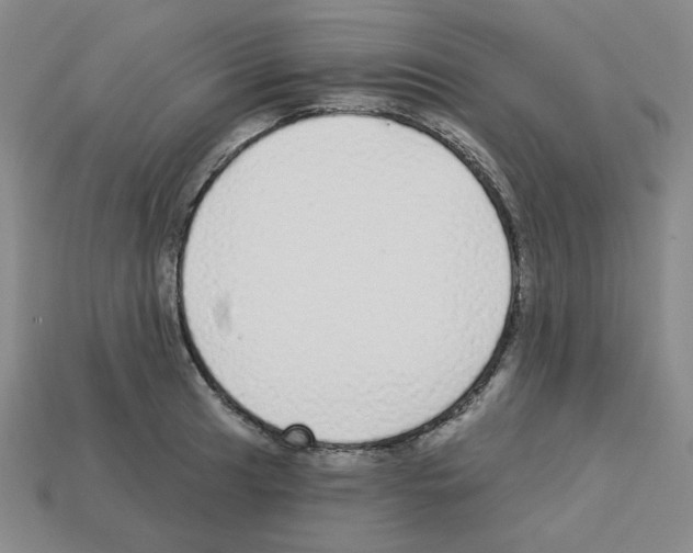 X0000112761041200910011211