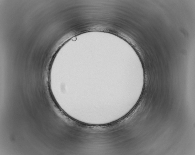 X0000112761042200910011211