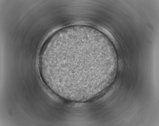X0000112761043200910011211